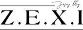 Zexi Blog logo