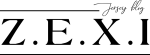 Zexi Blog logo